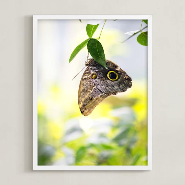 "Owl Eyed" - Art Print in Green by raven erebus - Framed