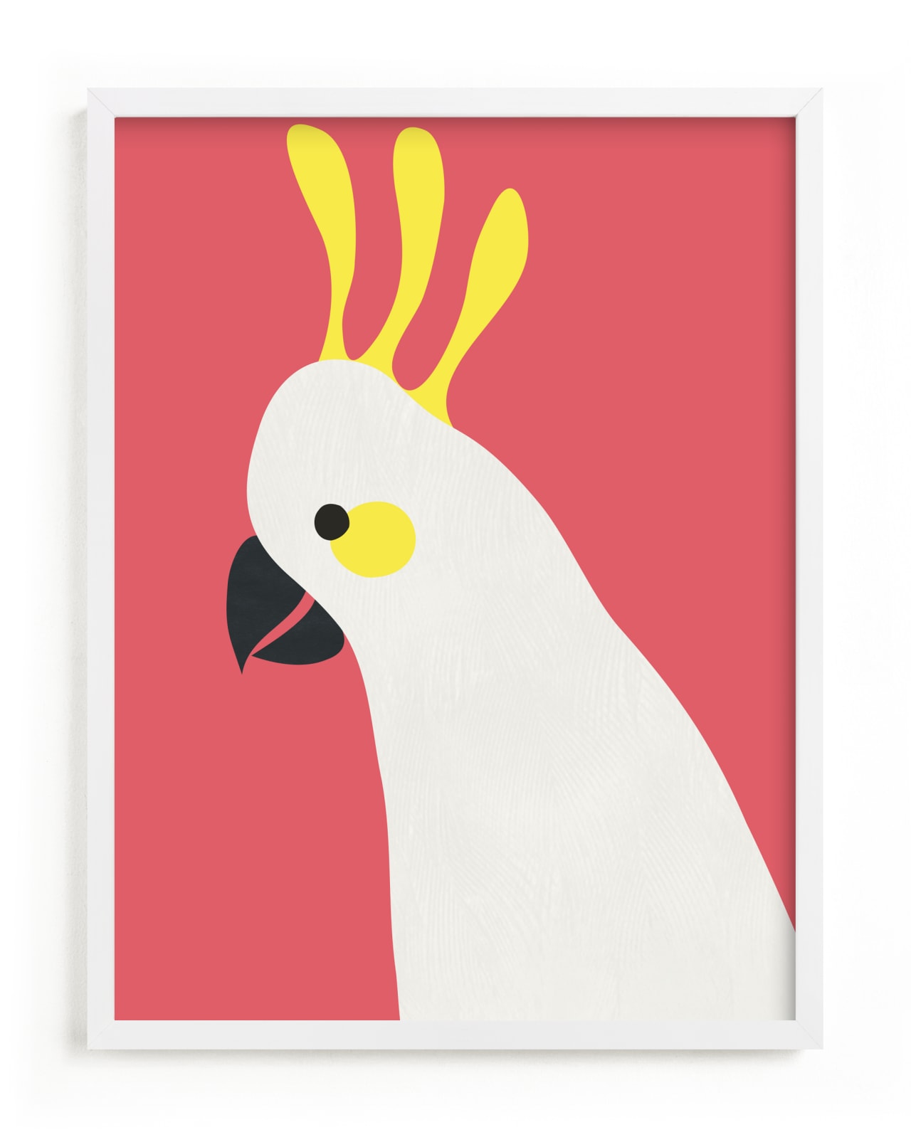 This is a white art by Catherine Culvenor called Hello Cocky! .