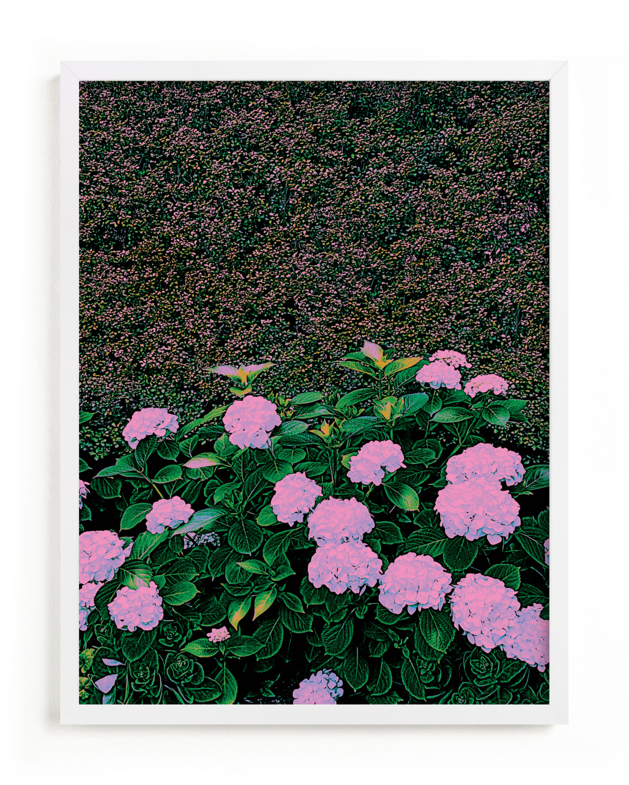 Dream Garden