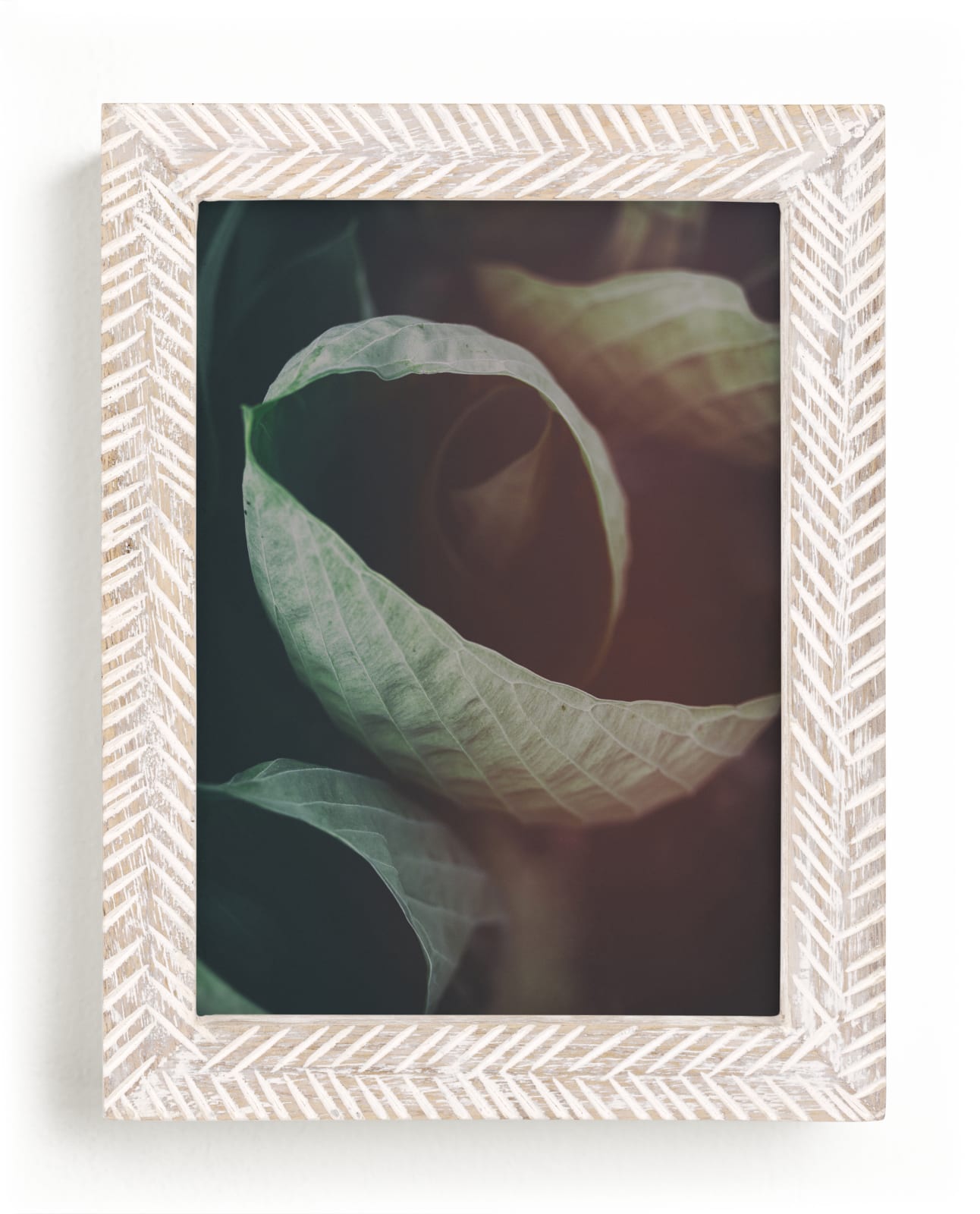 "Vintage Twist" by Alexis Arnold in beautiful frame options and a variety of sizes.