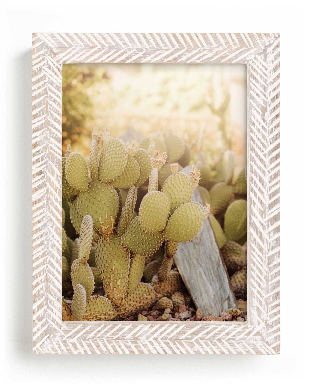 "Prickly Pear" by Hollie Renner Photography in beautiful frame options and a variety of sizes.