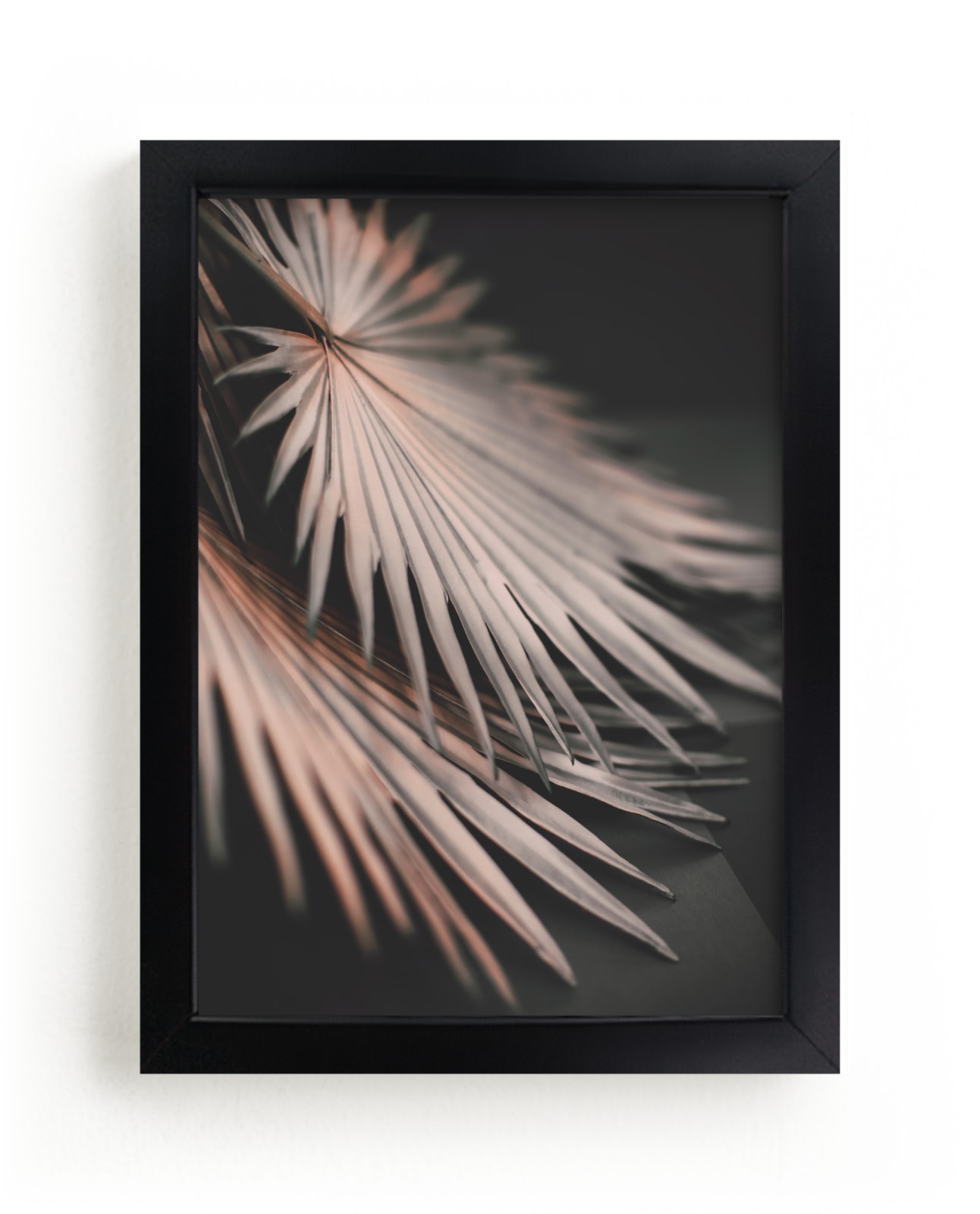 "Copper Ferns 1" - Limited Edition Art Print by Alicia Abla in beautiful frame options and a variety of sizes.