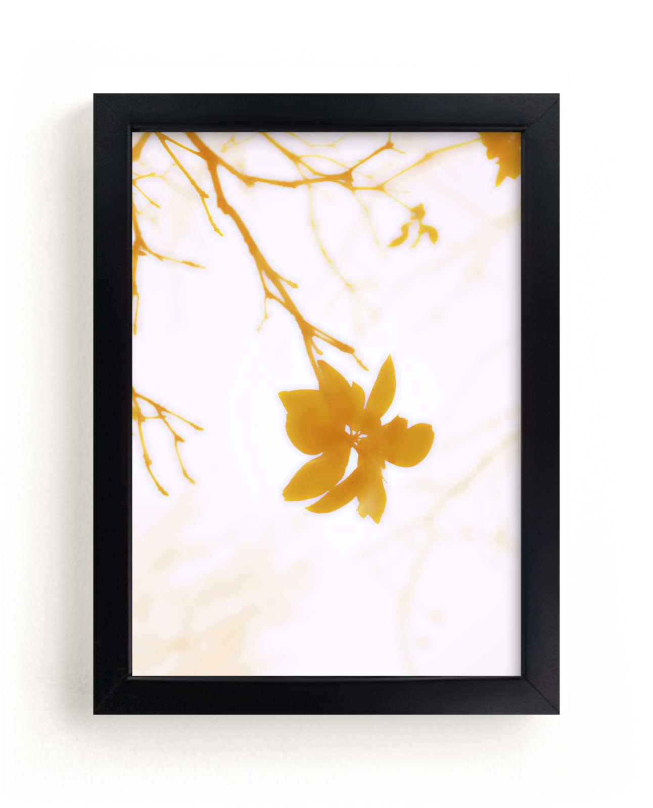 "Morning II" - Limited Edition Art Print by Stellax Creative in beautiful frame options and a variety of sizes.