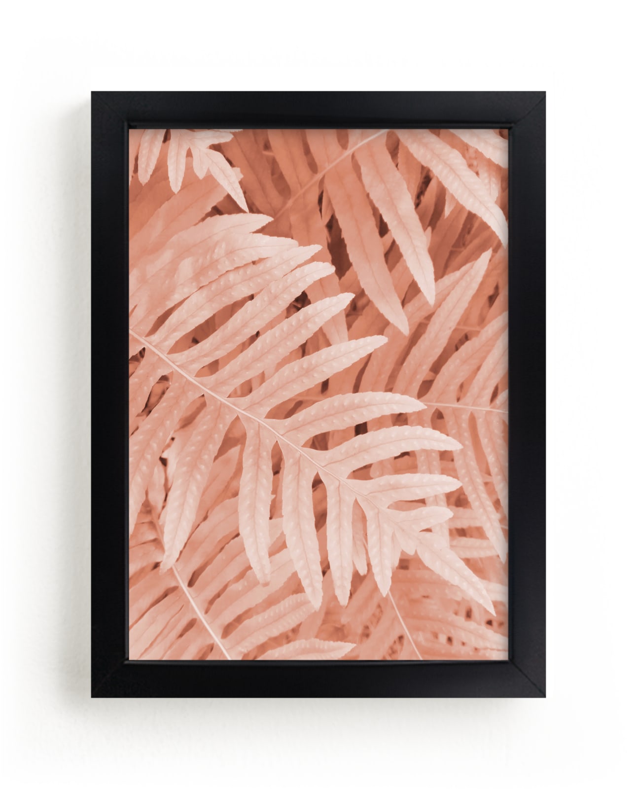 "Pink Ferns" - Limited Edition Art Print by EMANUELA CARRATONI in beautiful frame options and a variety of sizes.