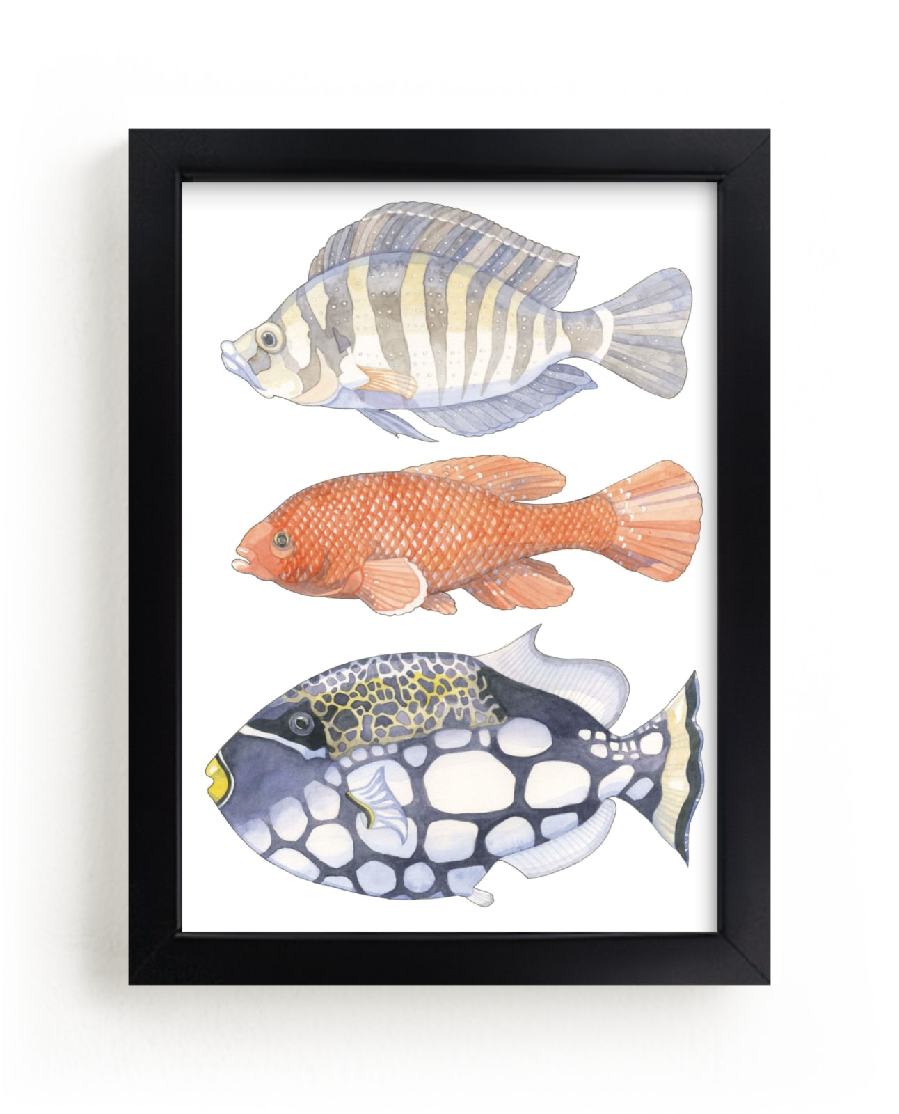 "Three Fish" - Limited Edition Art Print by Natalie Groves in beautiful frame options and a variety of sizes.