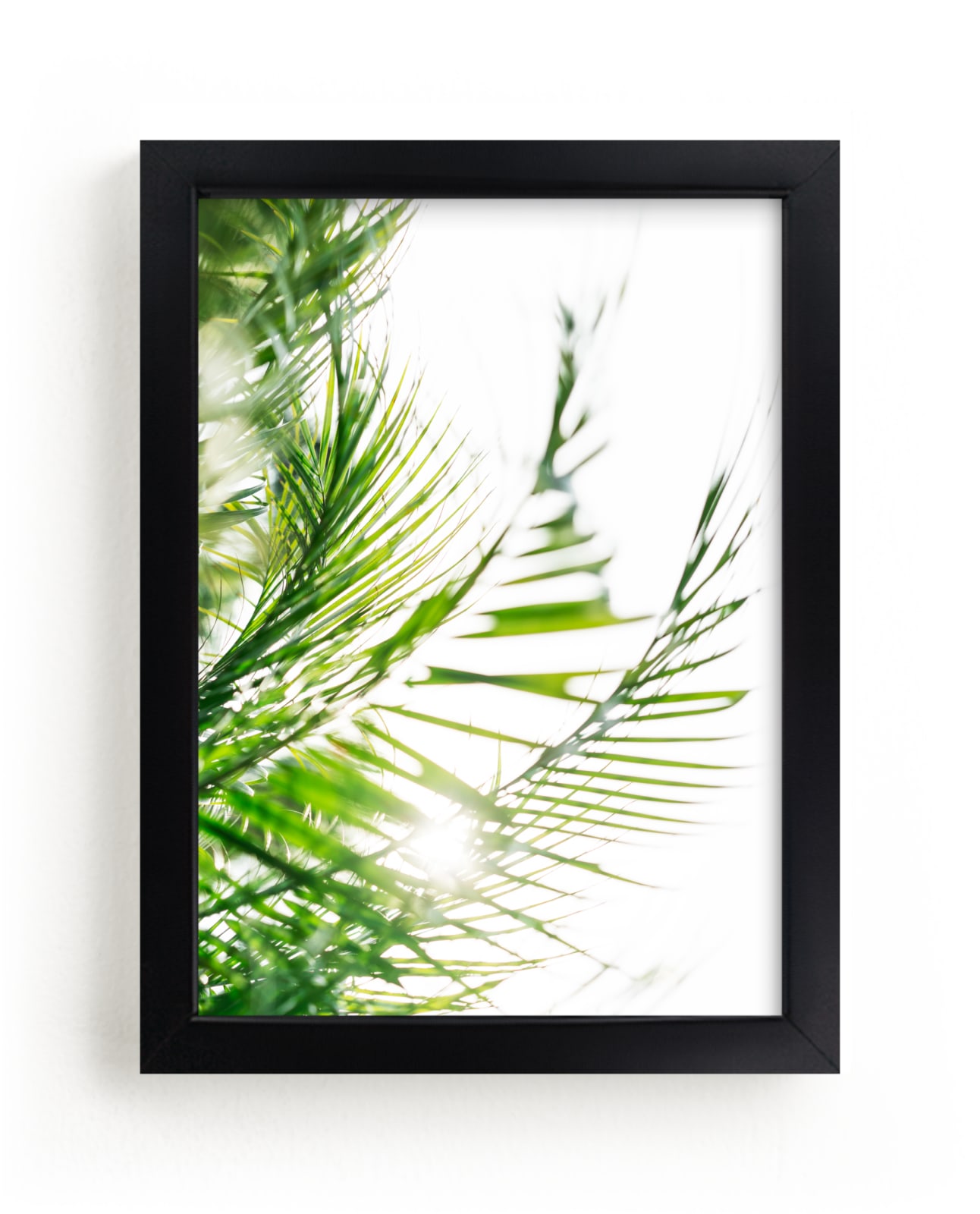 "Palm 2" - Limited Edition Art Print by Kamala Nahas in beautiful frame options and a variety of sizes.