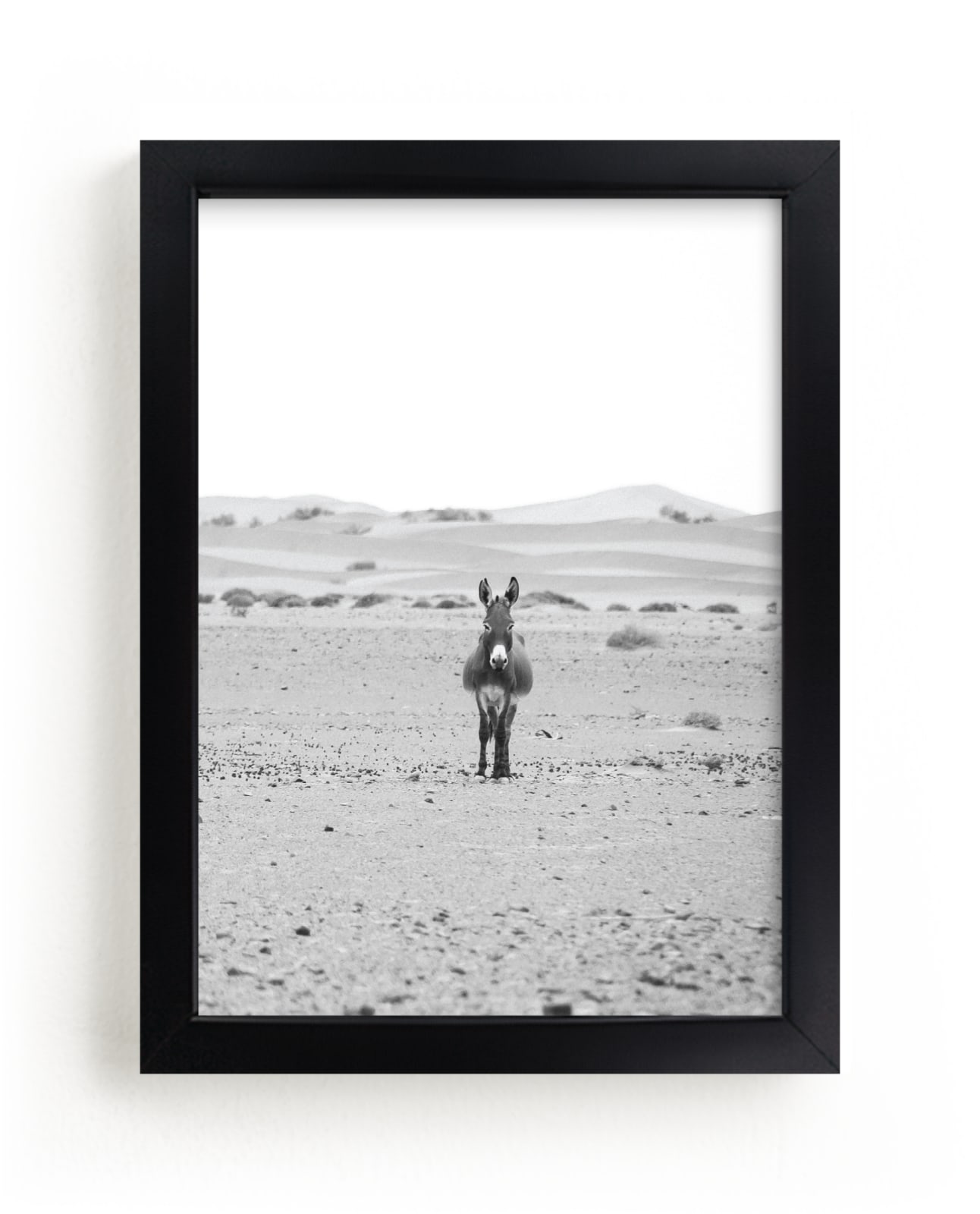 "I'm watching you" - Limited Edition Art Print by Claudia Orengo in beautiful frame options and a variety of sizes.