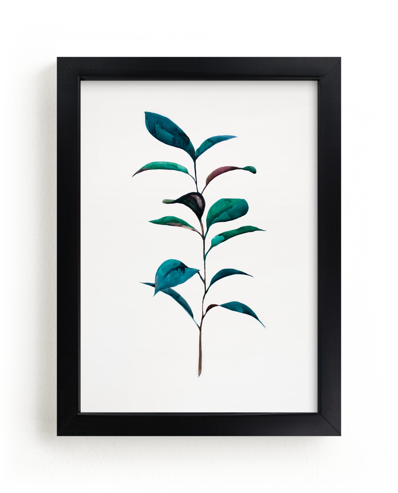 "Ruscus" - Open Edition Fine Art Print by jinseikou in beautiful frame options and a variety of sizes.