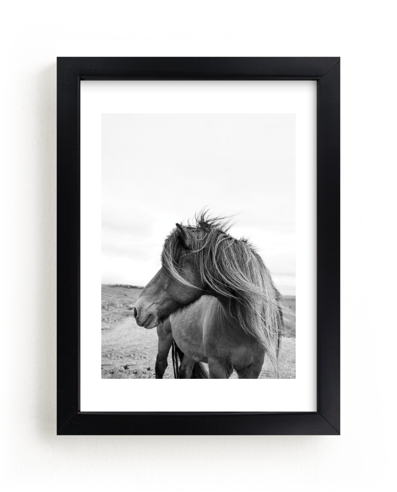 "A Horse and the Wind" - Limited Edition Art Print by Ilze Lucero in beautiful frame options and a variety of sizes.