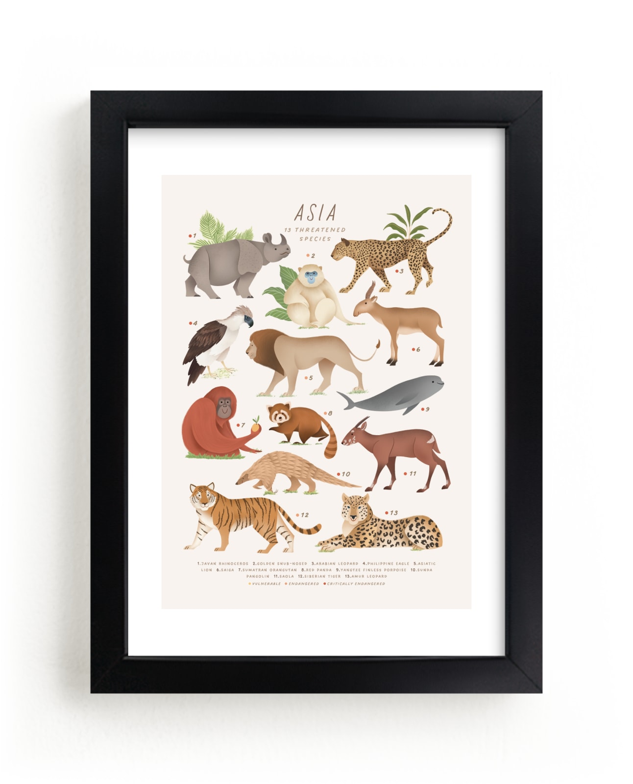 "Asia, endangered animals" by Sabrin Deirani in beautiful frame options and a variety of sizes.