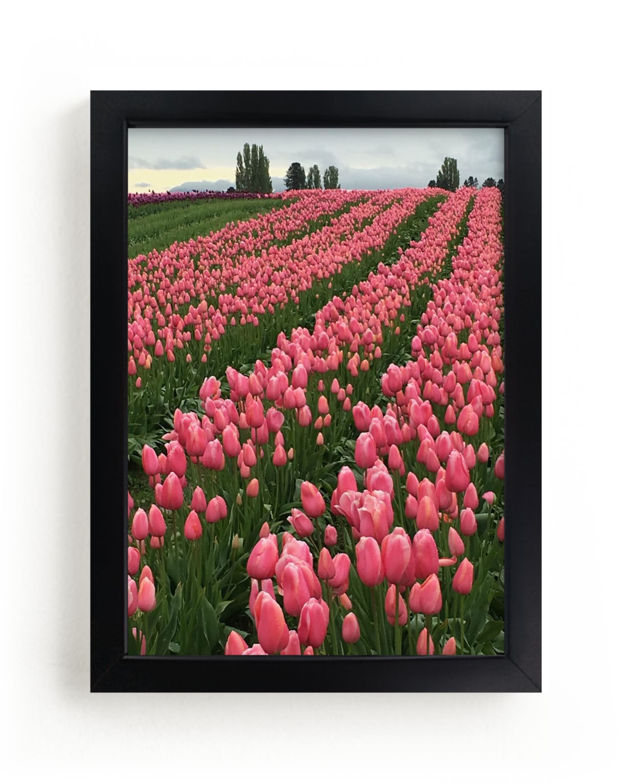 "Magic Land" - Art Print by Jan Kessel in beautiful frame options and a variety of sizes.