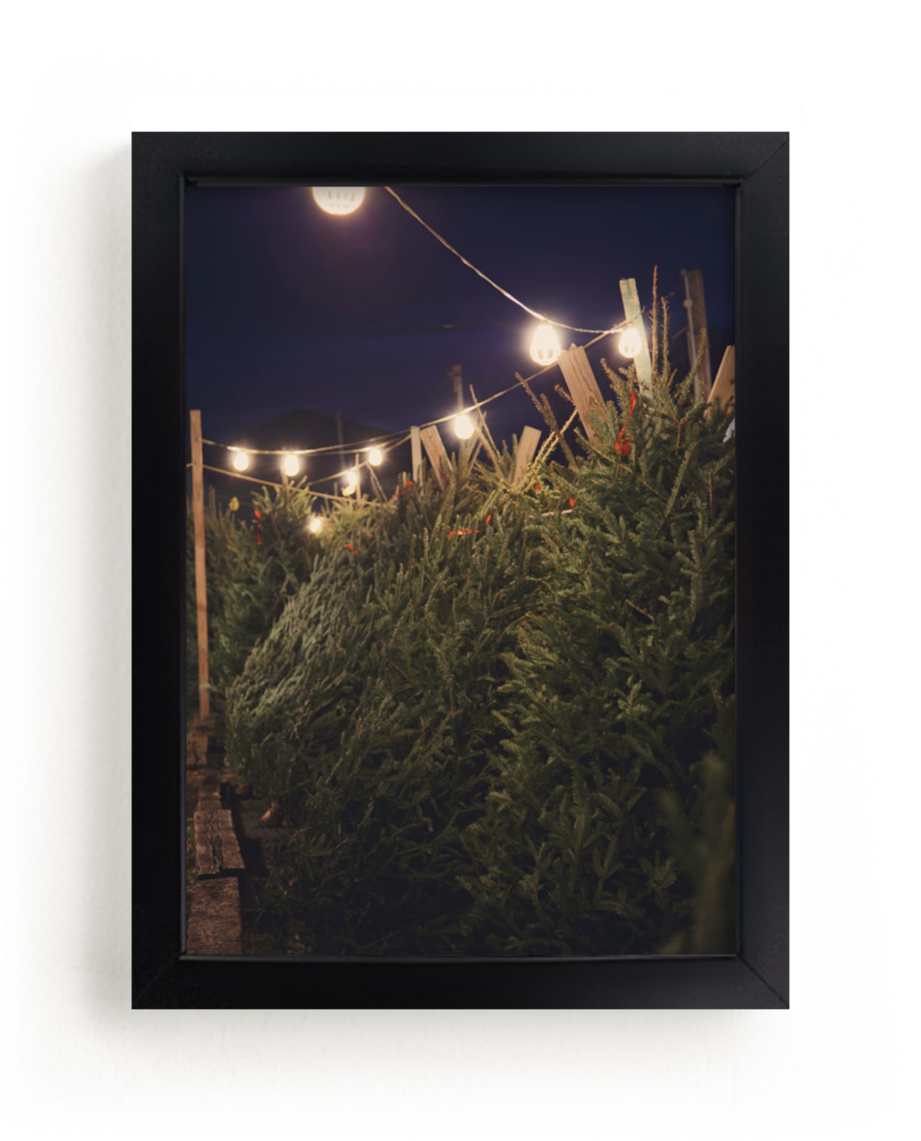 "Lit Trees" - Art Print by Erin Niehenke in beautiful frame options and a variety of sizes.
