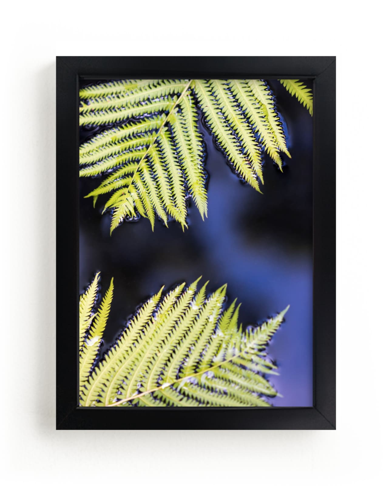"Ferns and Water" - Art Print by Ilze Lucero in beautiful frame options and a variety of sizes.