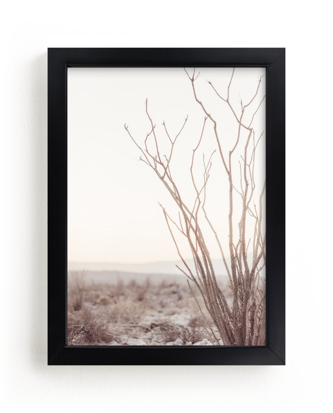 "Ocotillo I" - Art Print by Kamala Nahas in beautiful frame options and a variety of sizes.