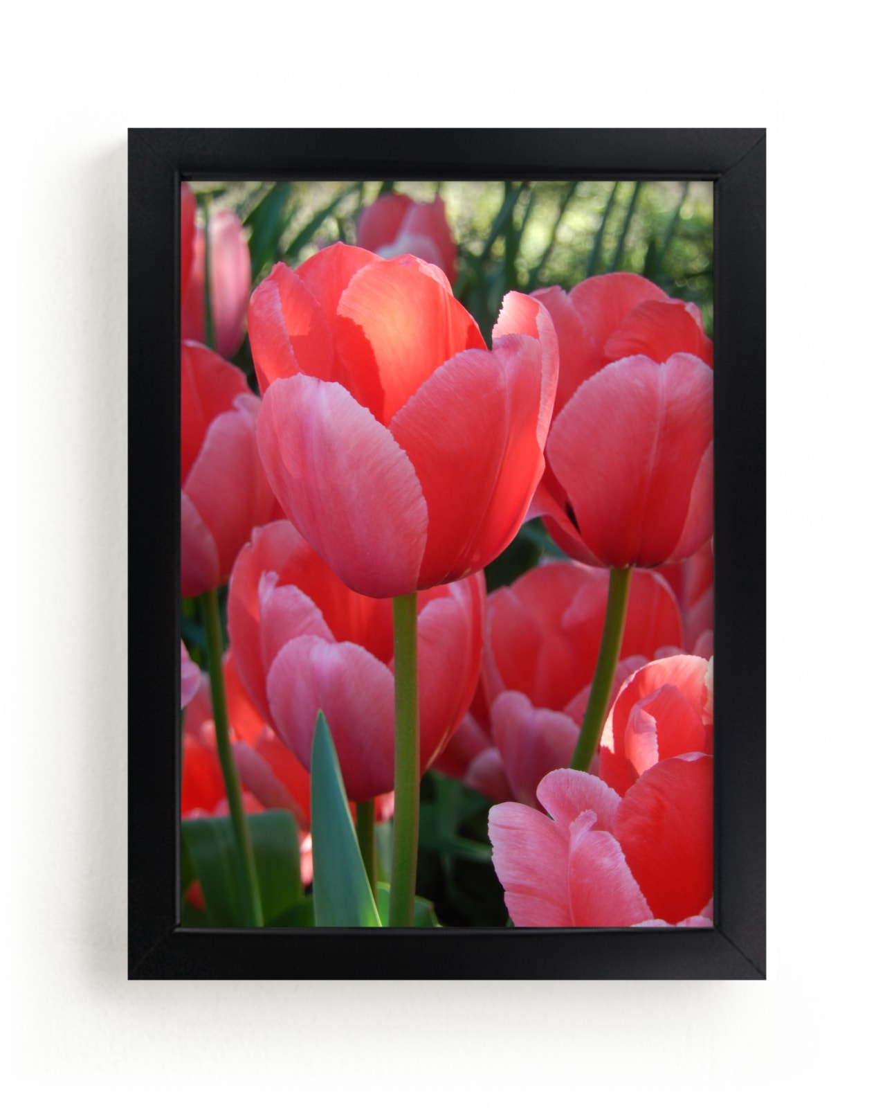 "Sun Filled Red 1" - Art Print by Jan Kessel in beautiful frame options and a variety of sizes.