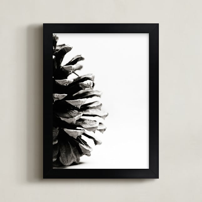 Pine Cone - Part 2
