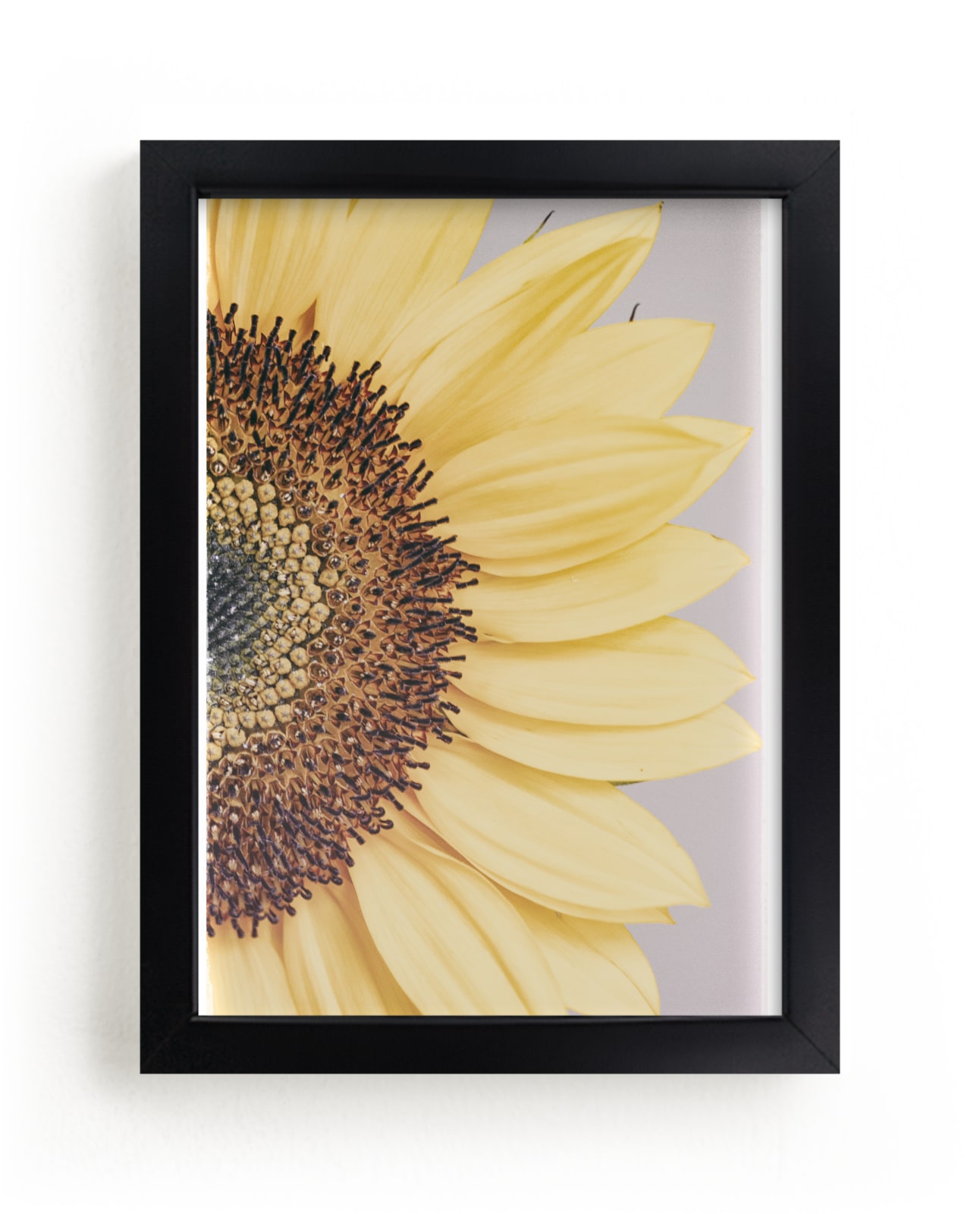 "Half Sunflower" by Alexis Arnold in beautiful frame options and a variety of sizes.