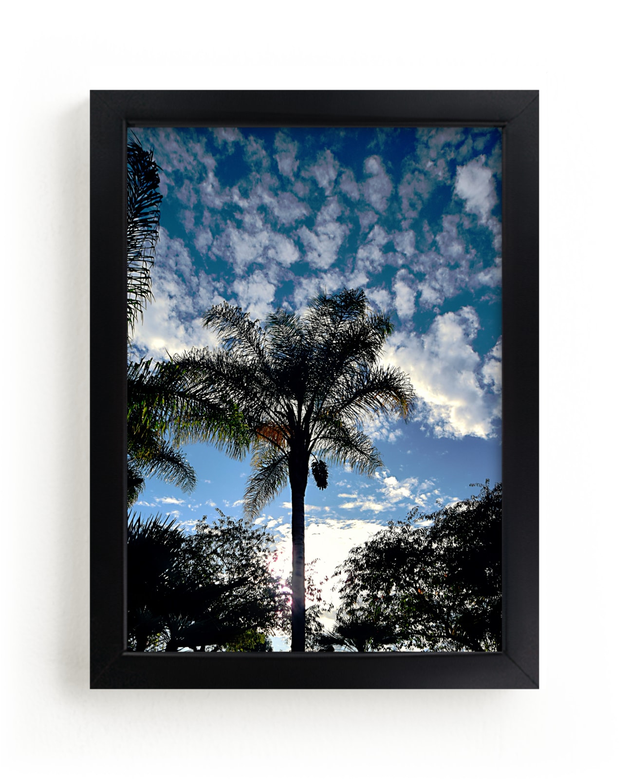 "The Palm" by NSMARK in beautiful frame options and a variety of sizes.
