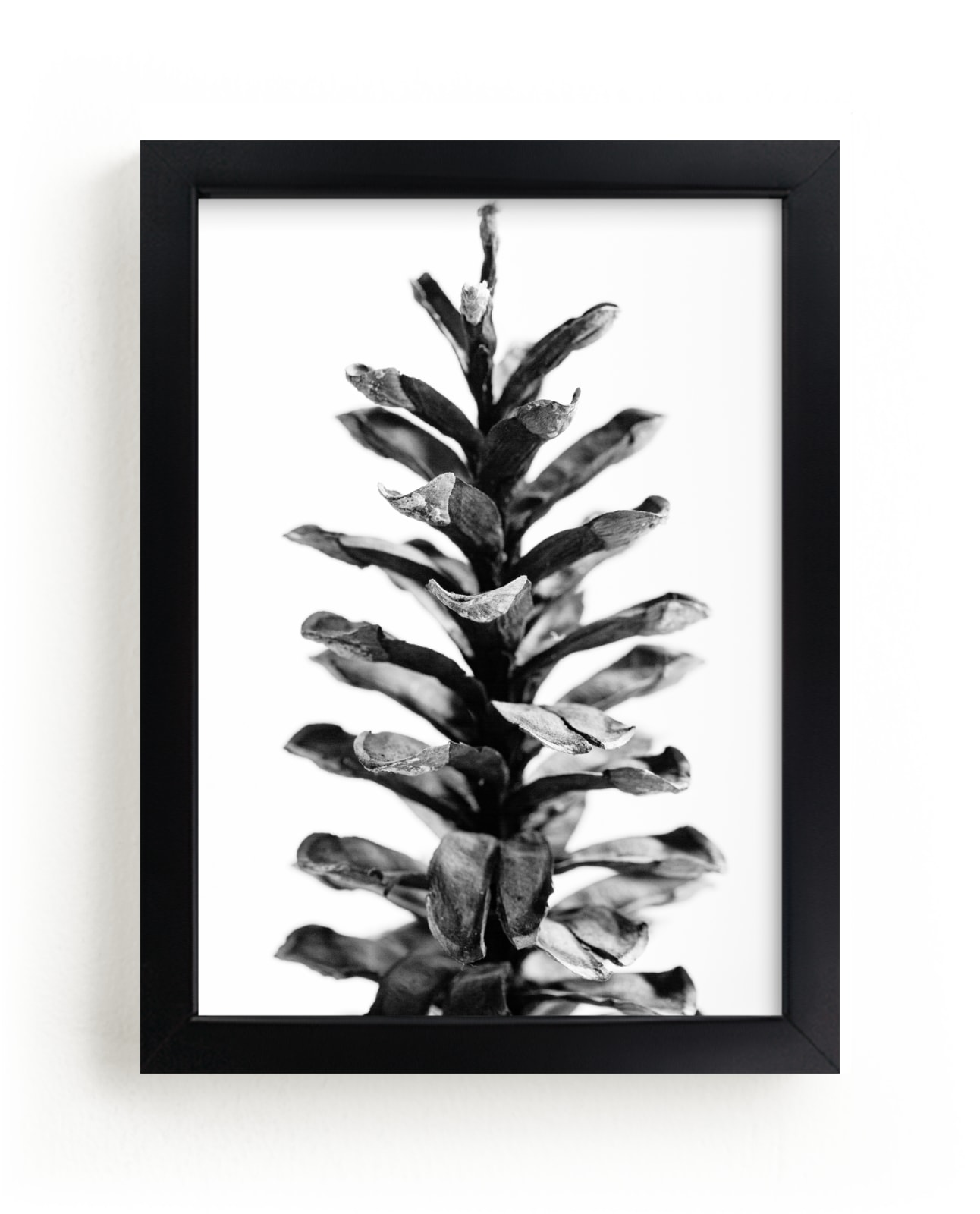 "Scented Pine" by Alexis Arnold in beautiful frame options and a variety of sizes.