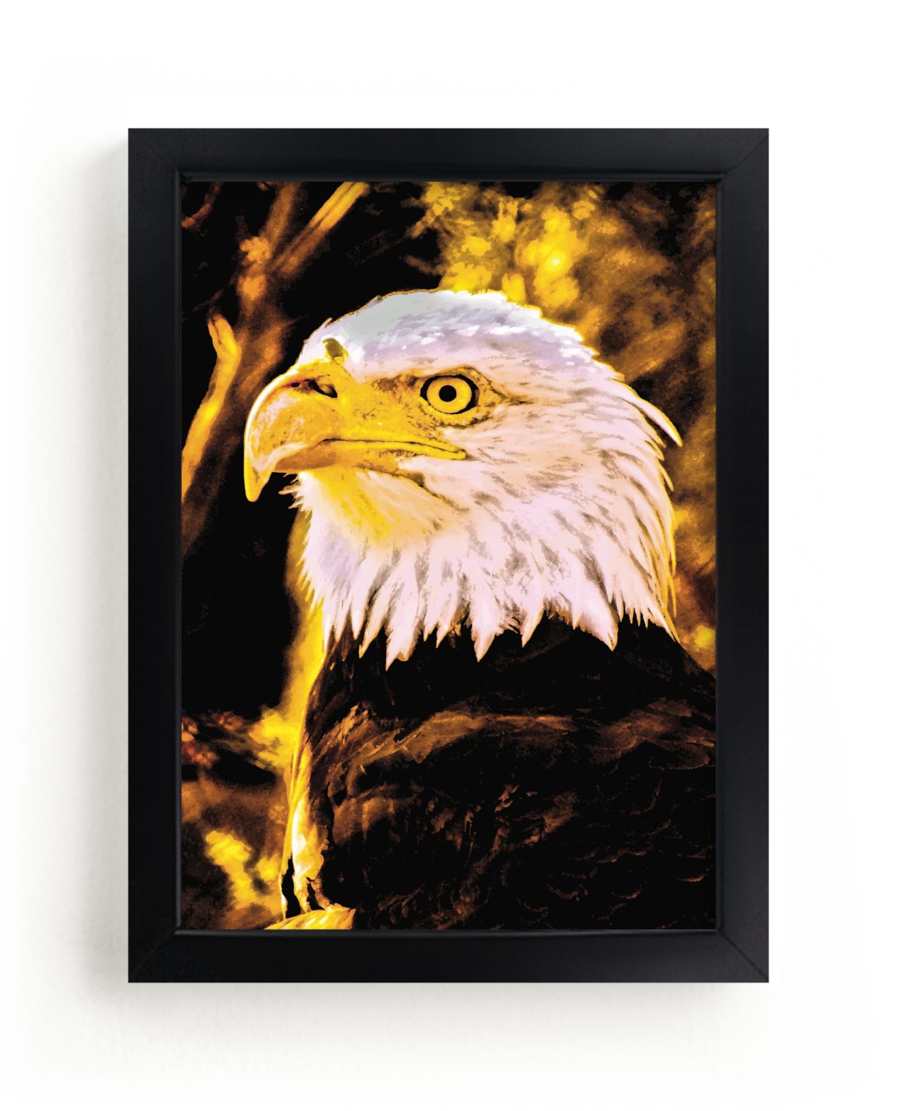 "Bald Eagle, Golden Hour" by Mariecor Agravante in beautiful frame options and a variety of sizes.
