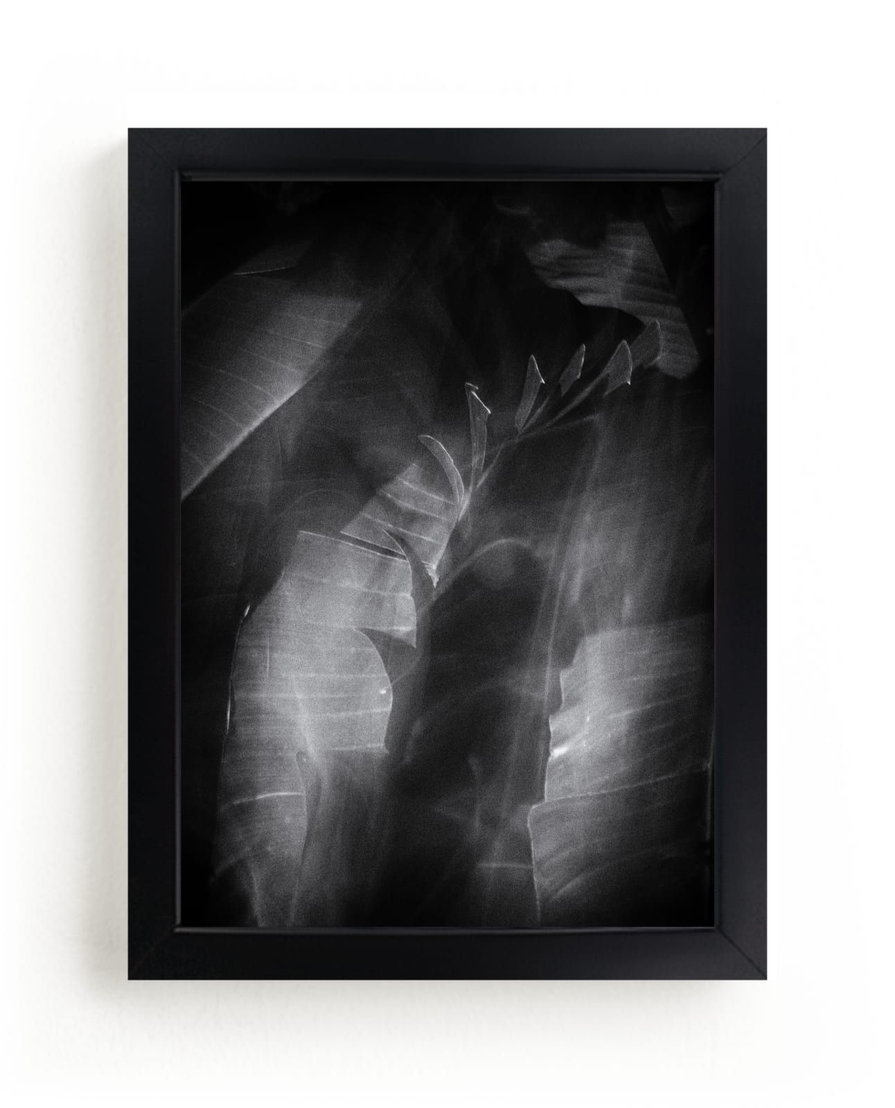 "Night Jungle" by flvx studio in beautiful frame options and a variety of sizes.