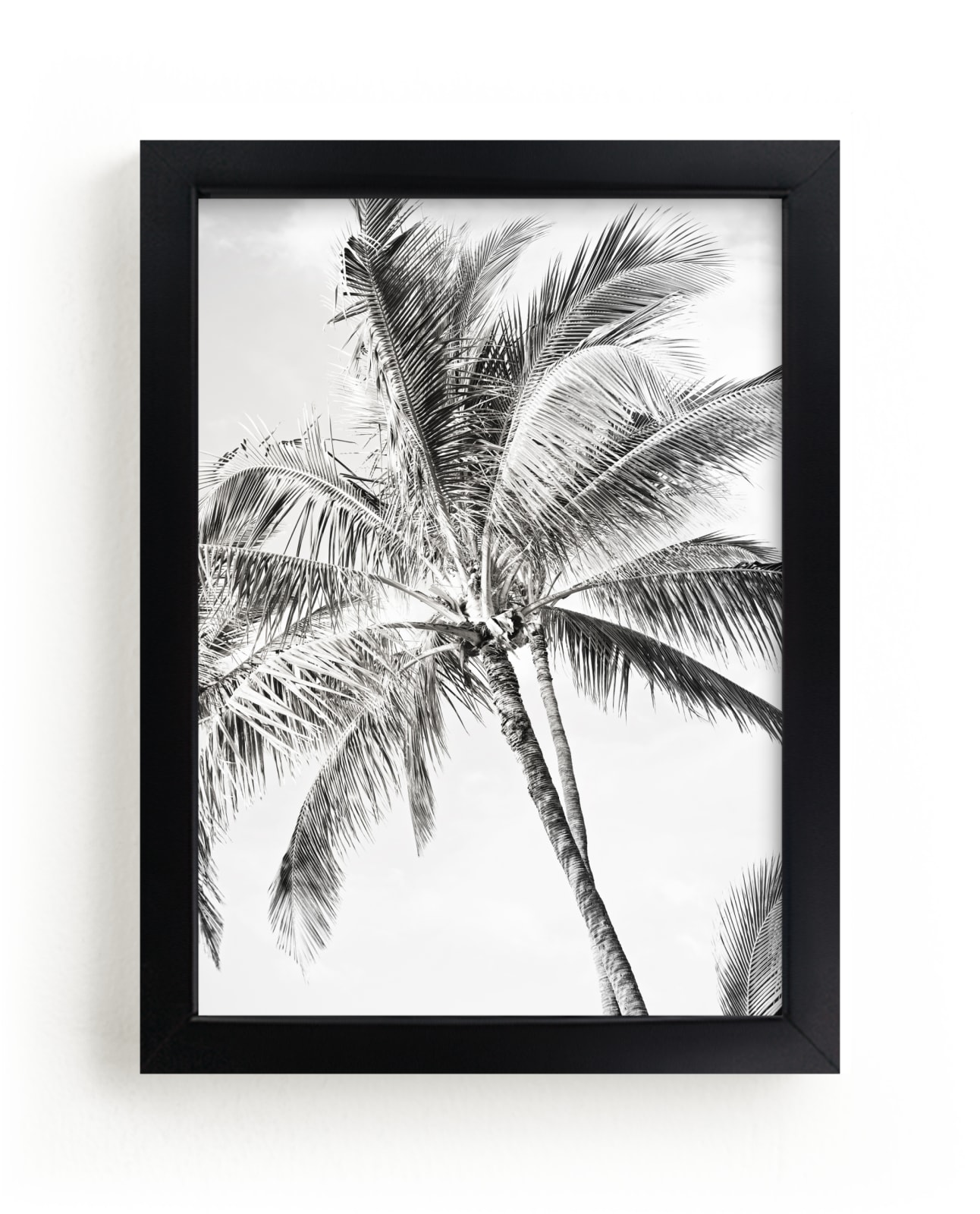 "2 Palms" by Bree Madden in beautiful frame options and a variety of sizes.
