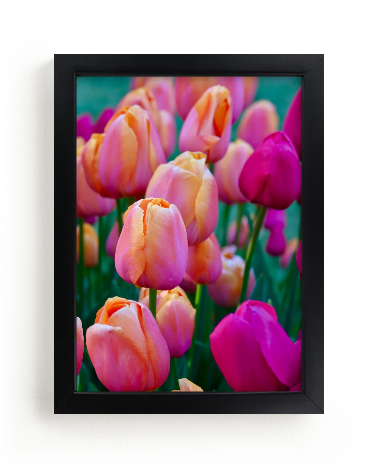 "Springtime Tulips" by Jan Kessel in beautiful frame options and a variety of sizes.