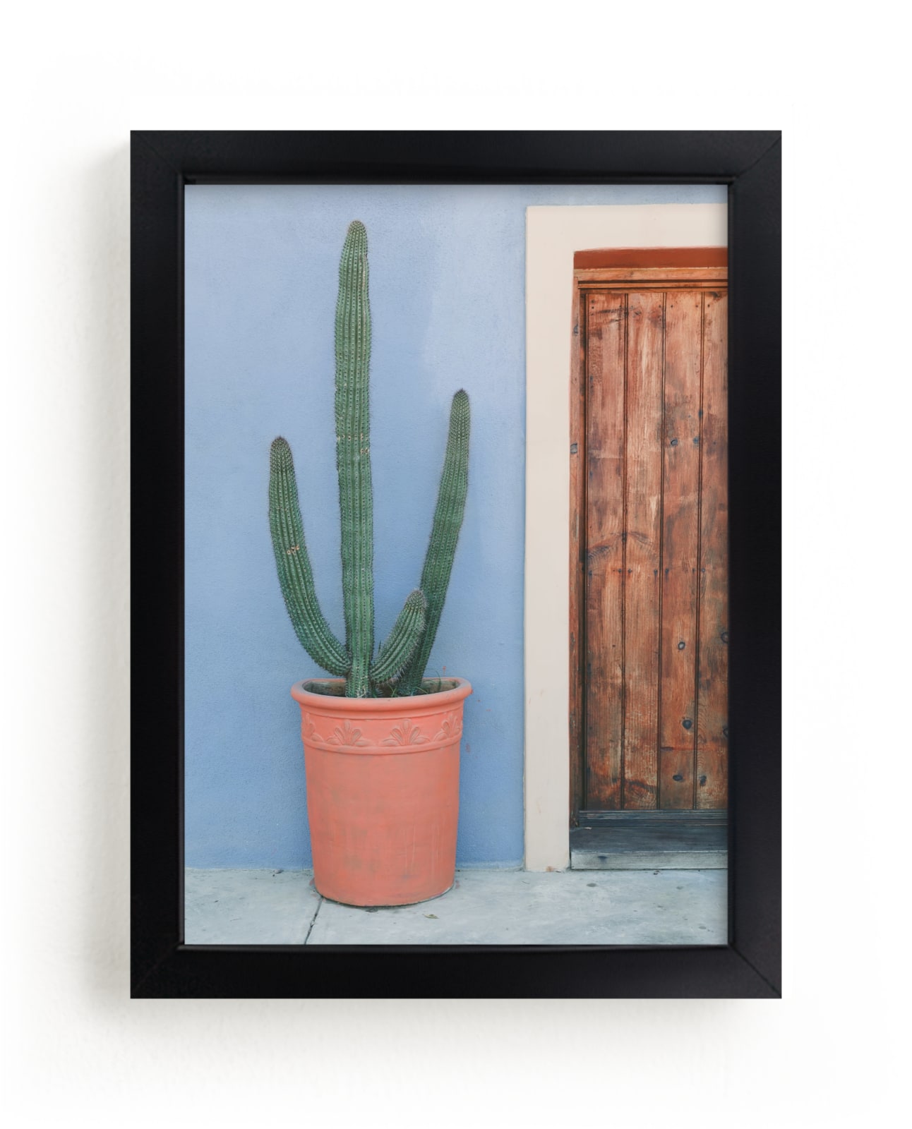 "Saguaro" by Lindsay Ferraris Photography in beautiful frame options and a variety of sizes.