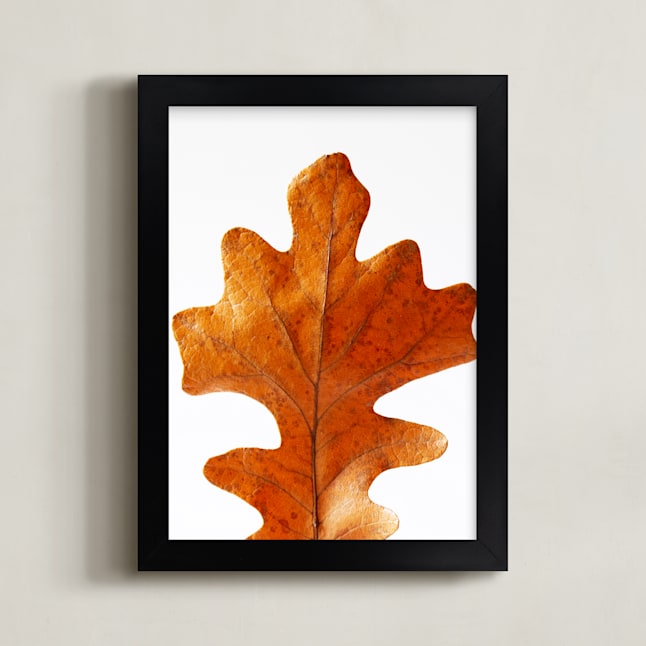 Oak Leaf