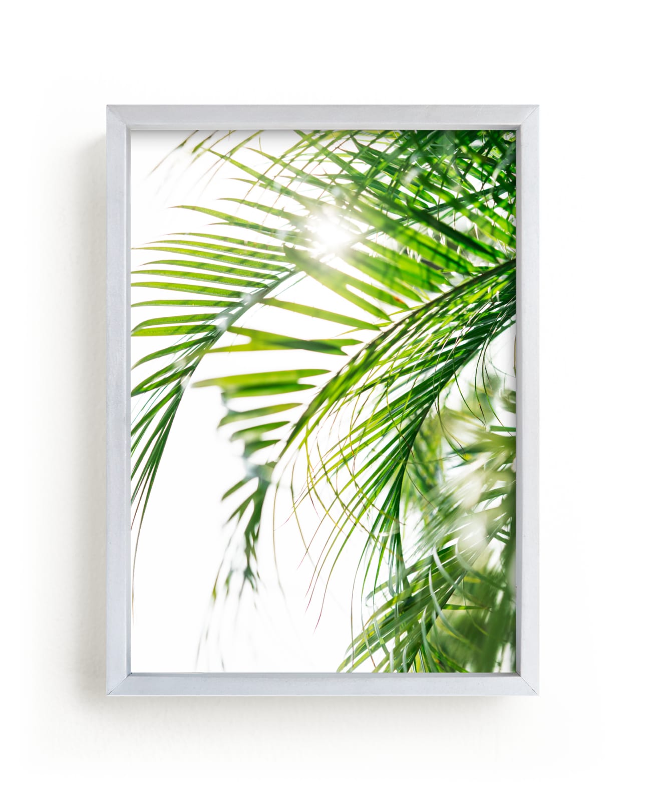 "Palm 3" - Limited Edition Art Print by Kamala Nahas in beautiful frame options and a variety of sizes.
