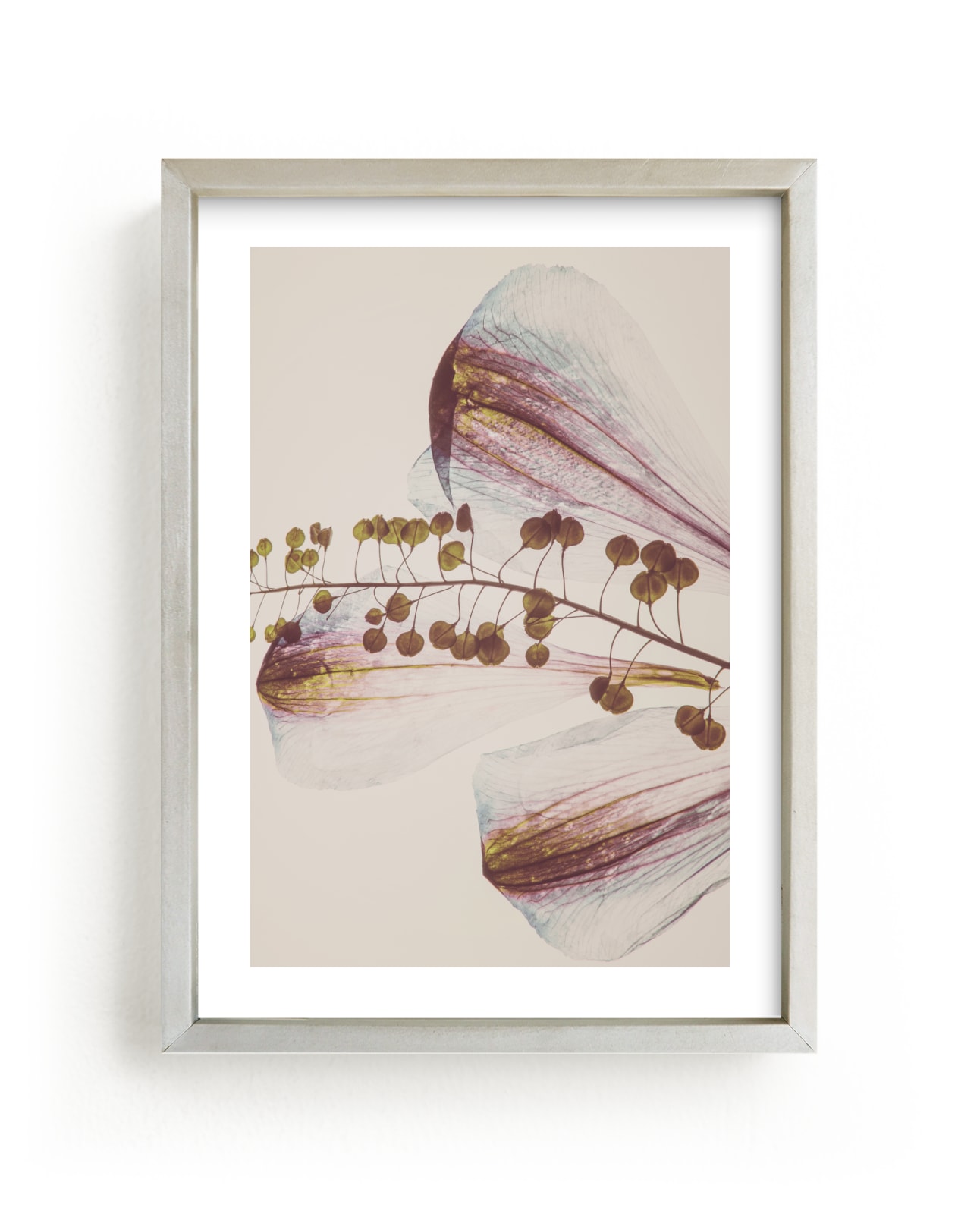 "Delicate Petal" - Limited Edition Art Print by Karen Kardatzke in beautiful frame options and a variety of sizes.