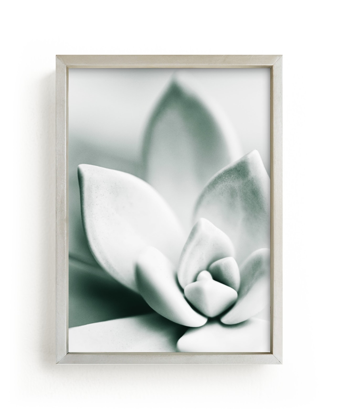 "Mint Succulent" - Art Print by Karen Kardatzke in beautiful frame options and a variety of sizes.