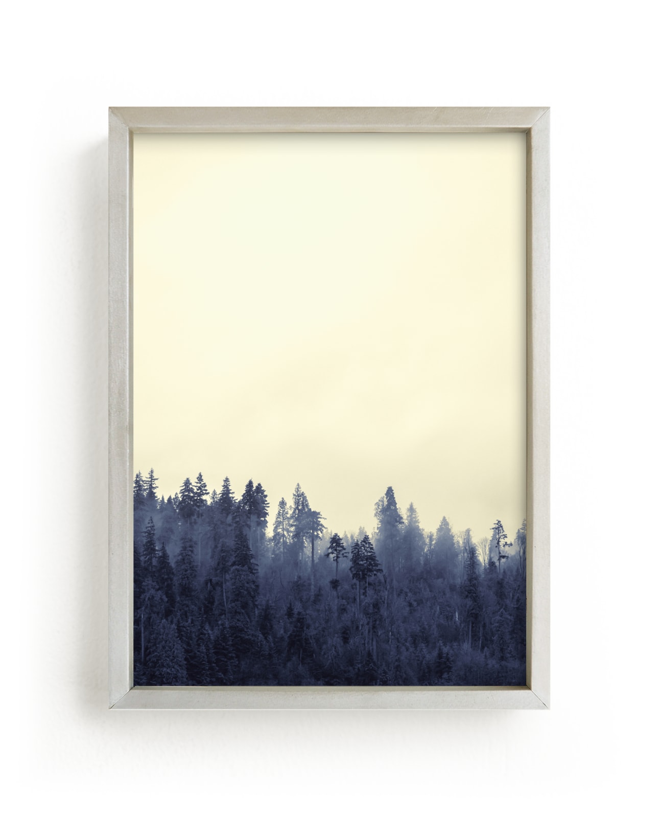 Treeline 2, Coastal fog
