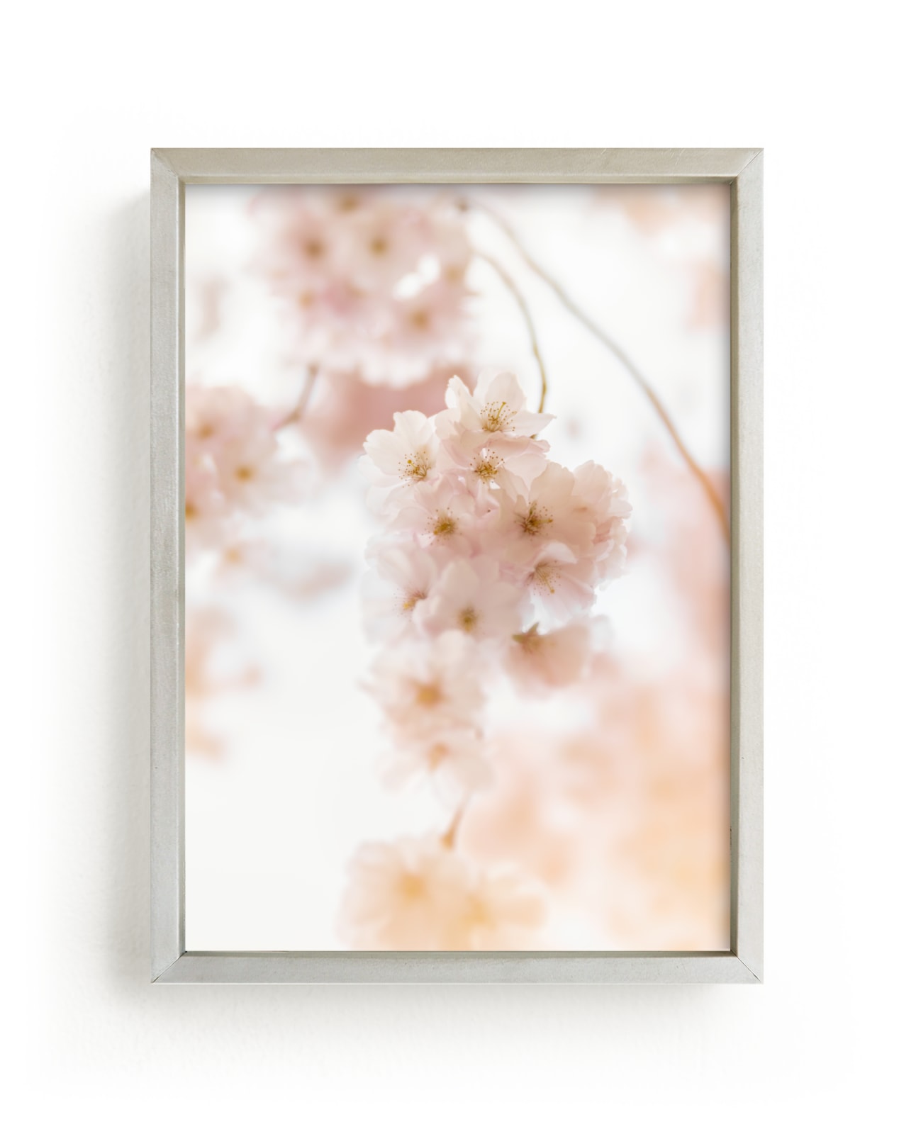 "Spring Cherry Bloom No. 3" by Jacquelyn Sloane Siklos in beautiful frame options and a variety of sizes.