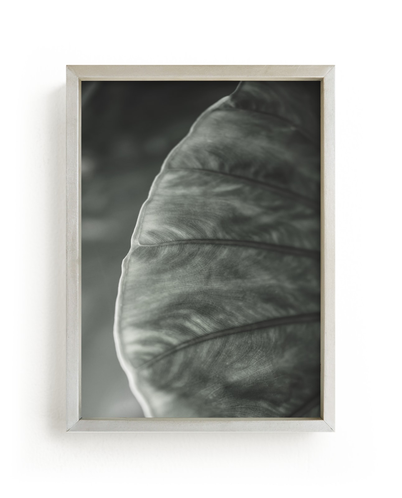 "Leaf Series Nº1" by Anne Ciotola in beautiful frame options and a variety of sizes.