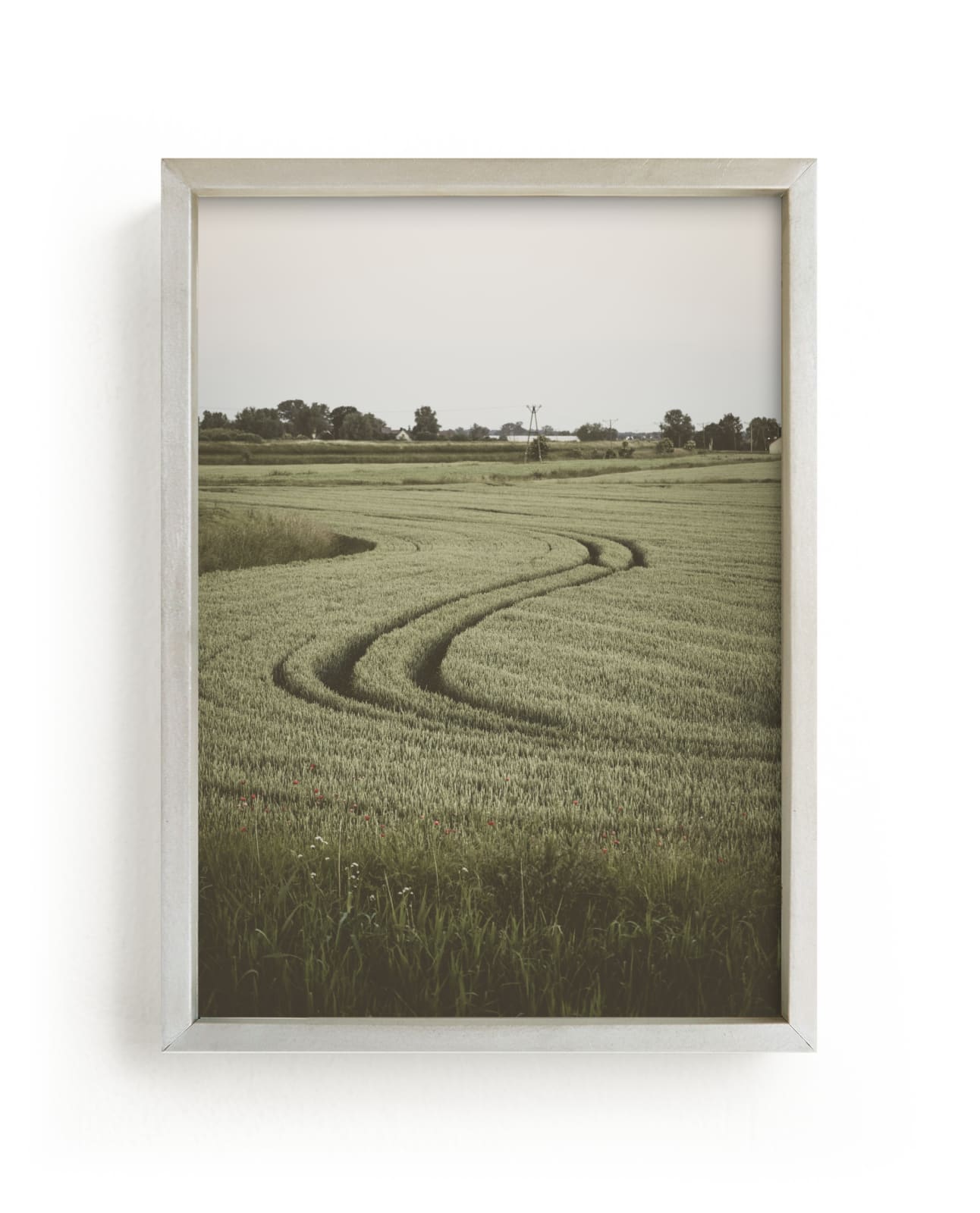 "Holy Cow I " by Lying on the grass in beautiful frame options and a variety of sizes.