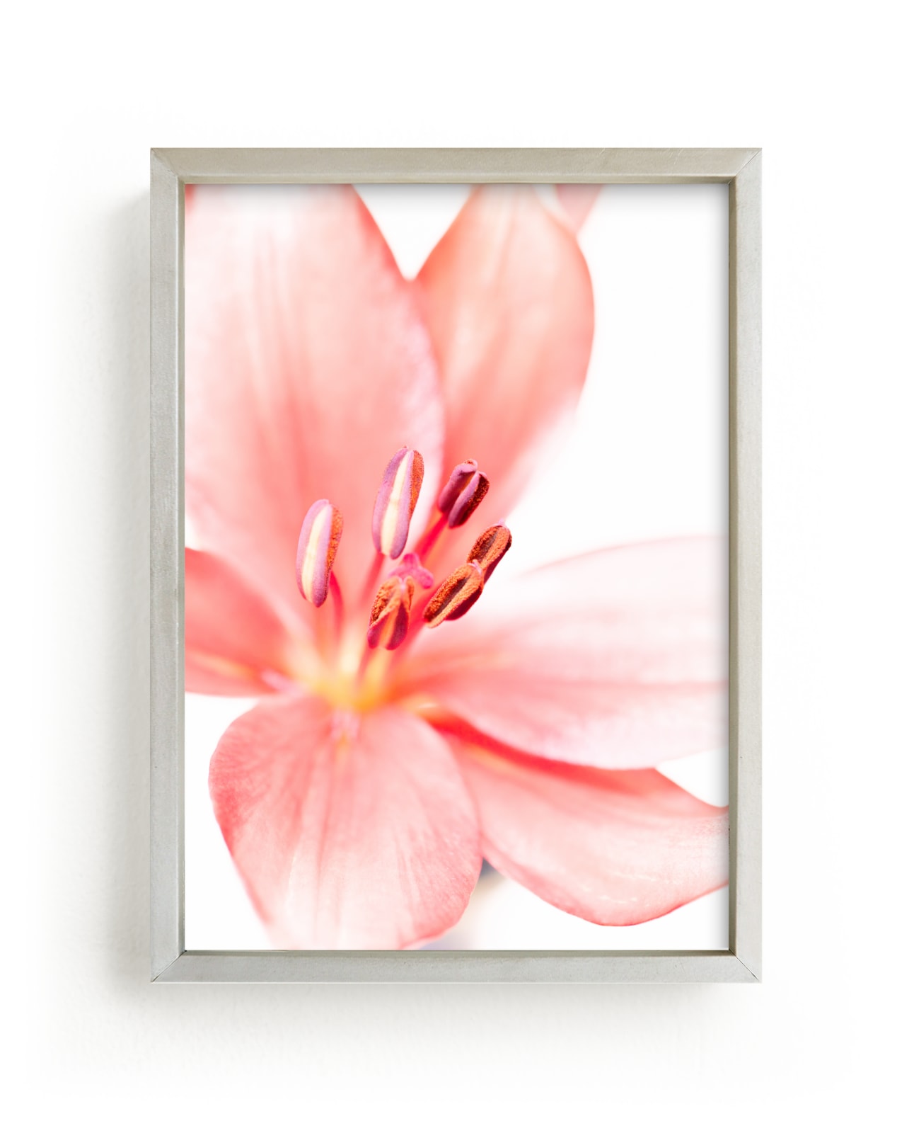 "Lily Splash I" by Renée Stramel in beautiful frame options and a variety of sizes.