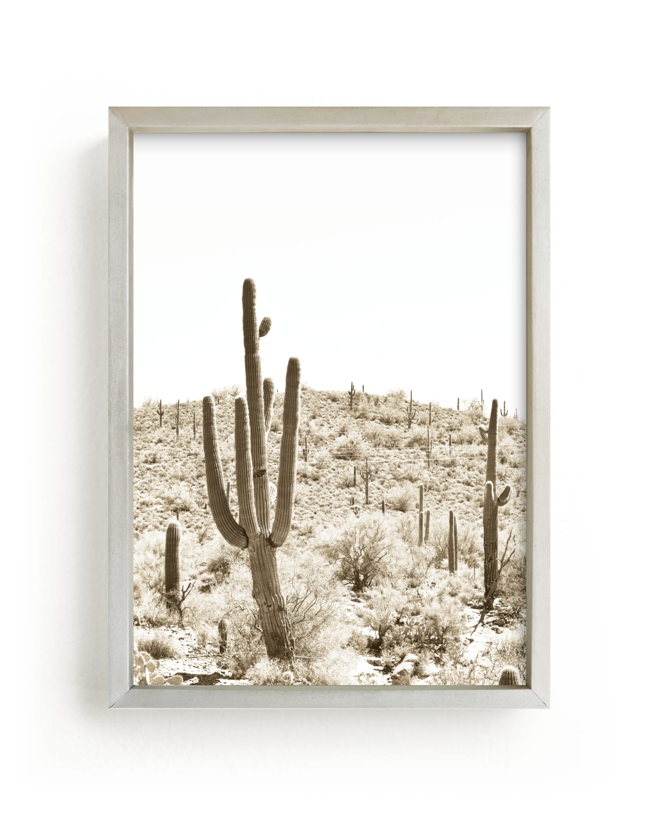 "Desert Cacti II" by Lisa Assenmacher in beautiful frame options and a variety of sizes.