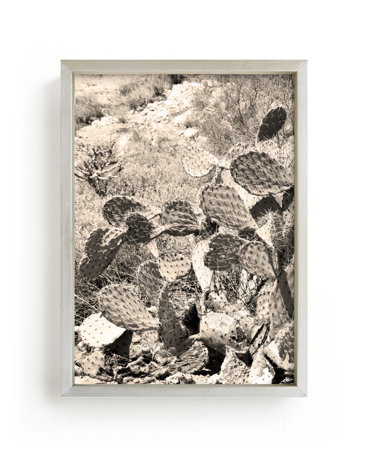 "Desert Cacti III" by Lisa Assenmacher in beautiful frame options and a variety of sizes.