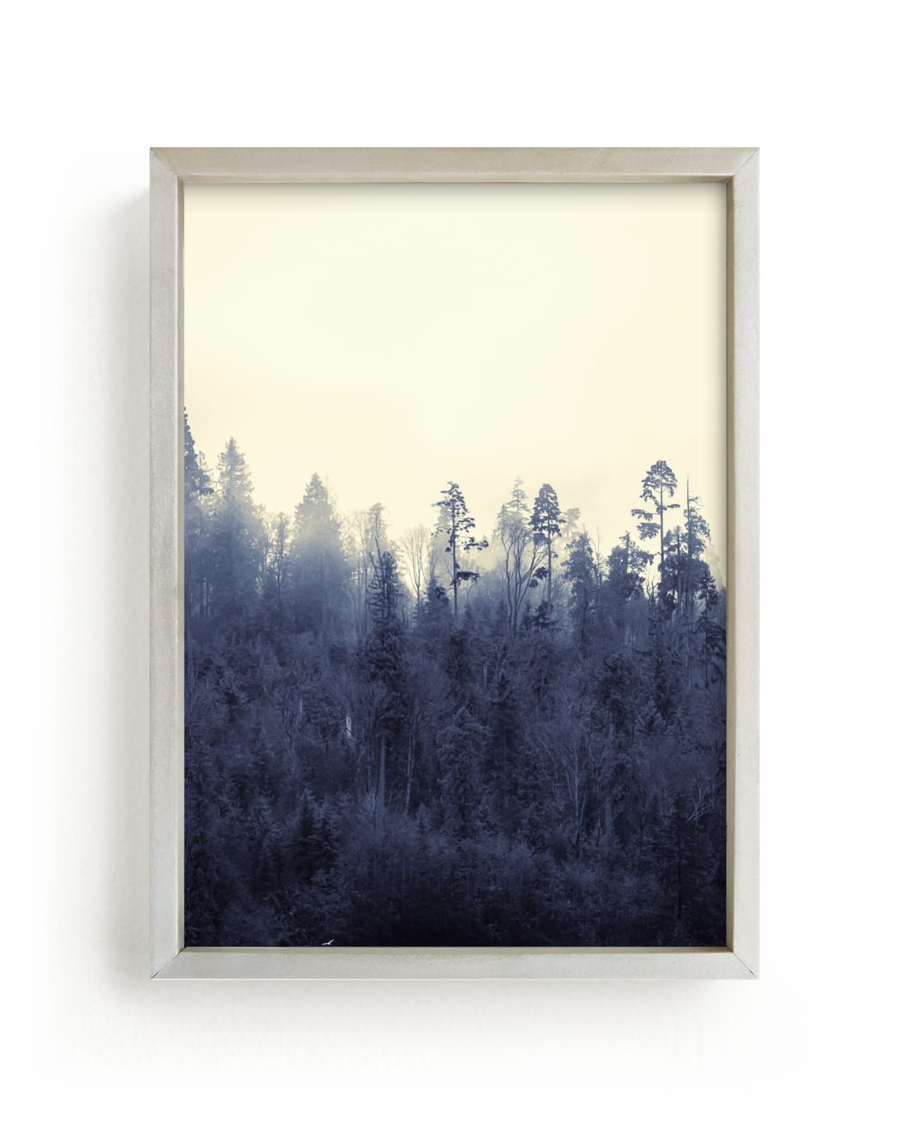 "Treeline 1, Coastal Fog" by Jacquelyn Sloane Siklos in beautiful frame options and a variety of sizes.