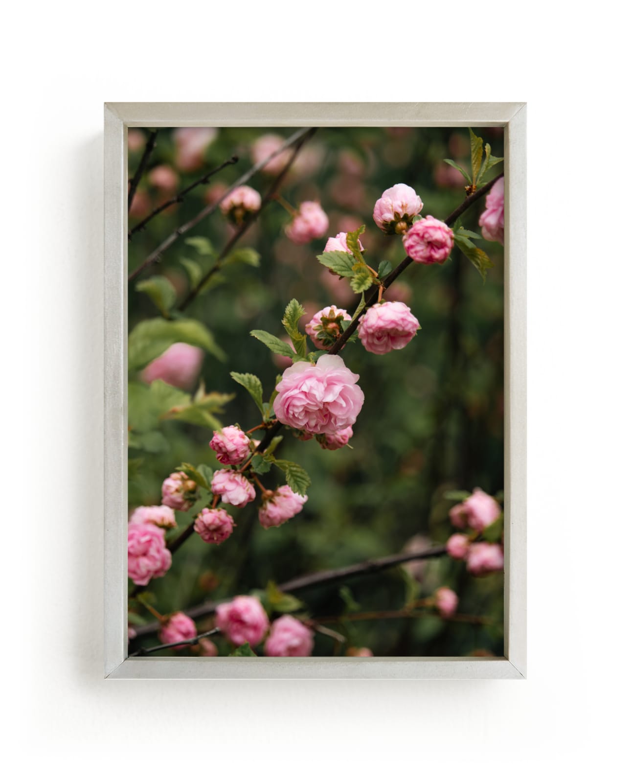"Pink Buds" by Lucila Naves in beautiful frame options and a variety of sizes.
