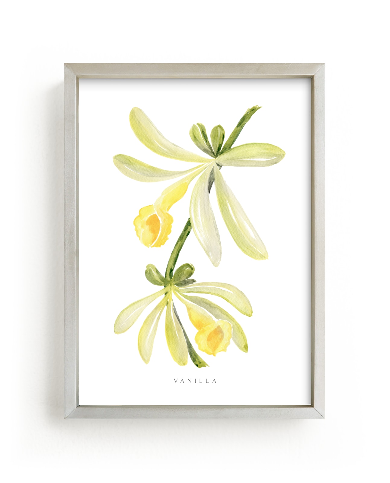 "Vanilla orchid" by Rosana Laiz Blursbyai in beautiful frame options and a variety of sizes.