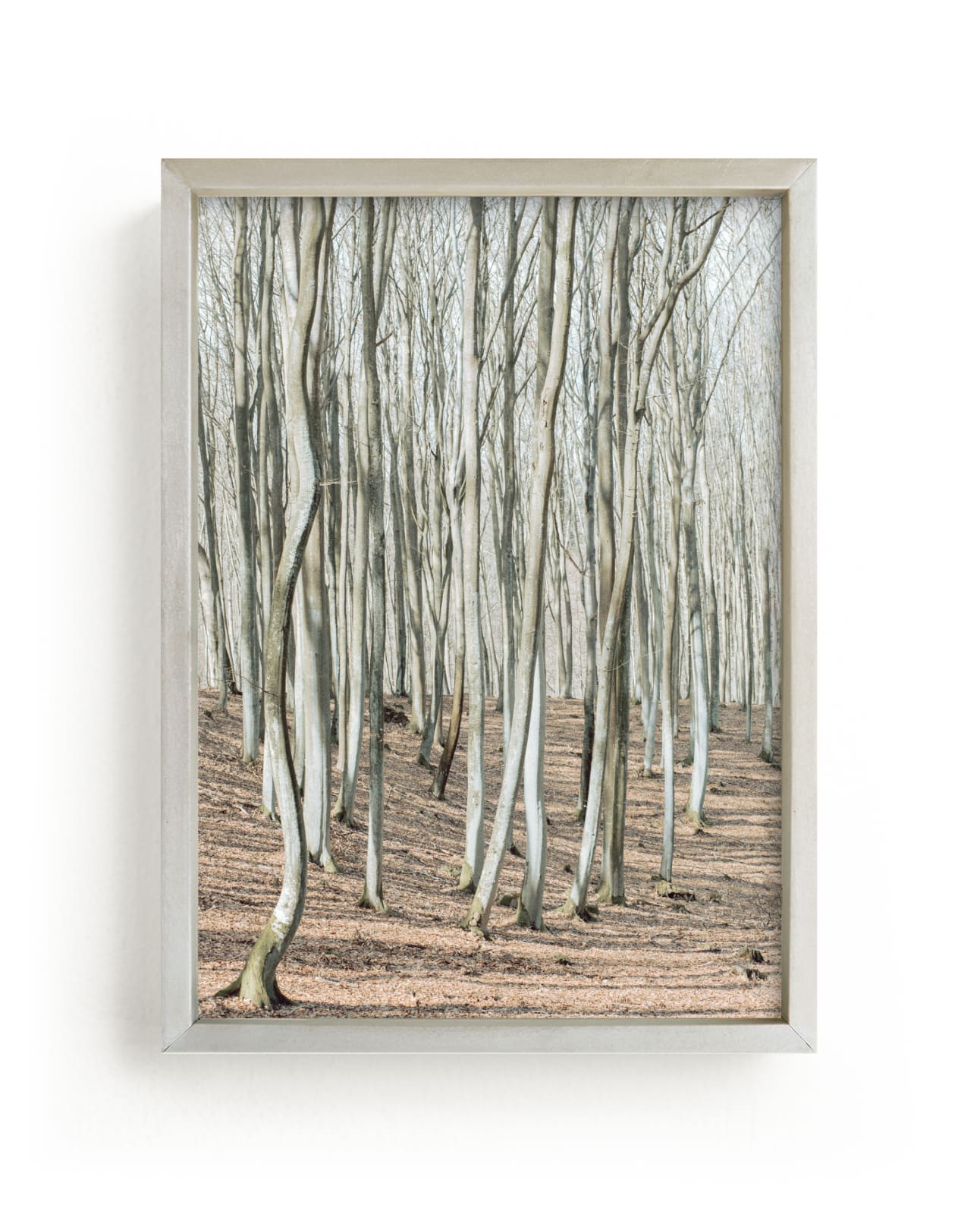 "Smooth forest" by Lying on the grass in beautiful frame options and a variety of sizes.