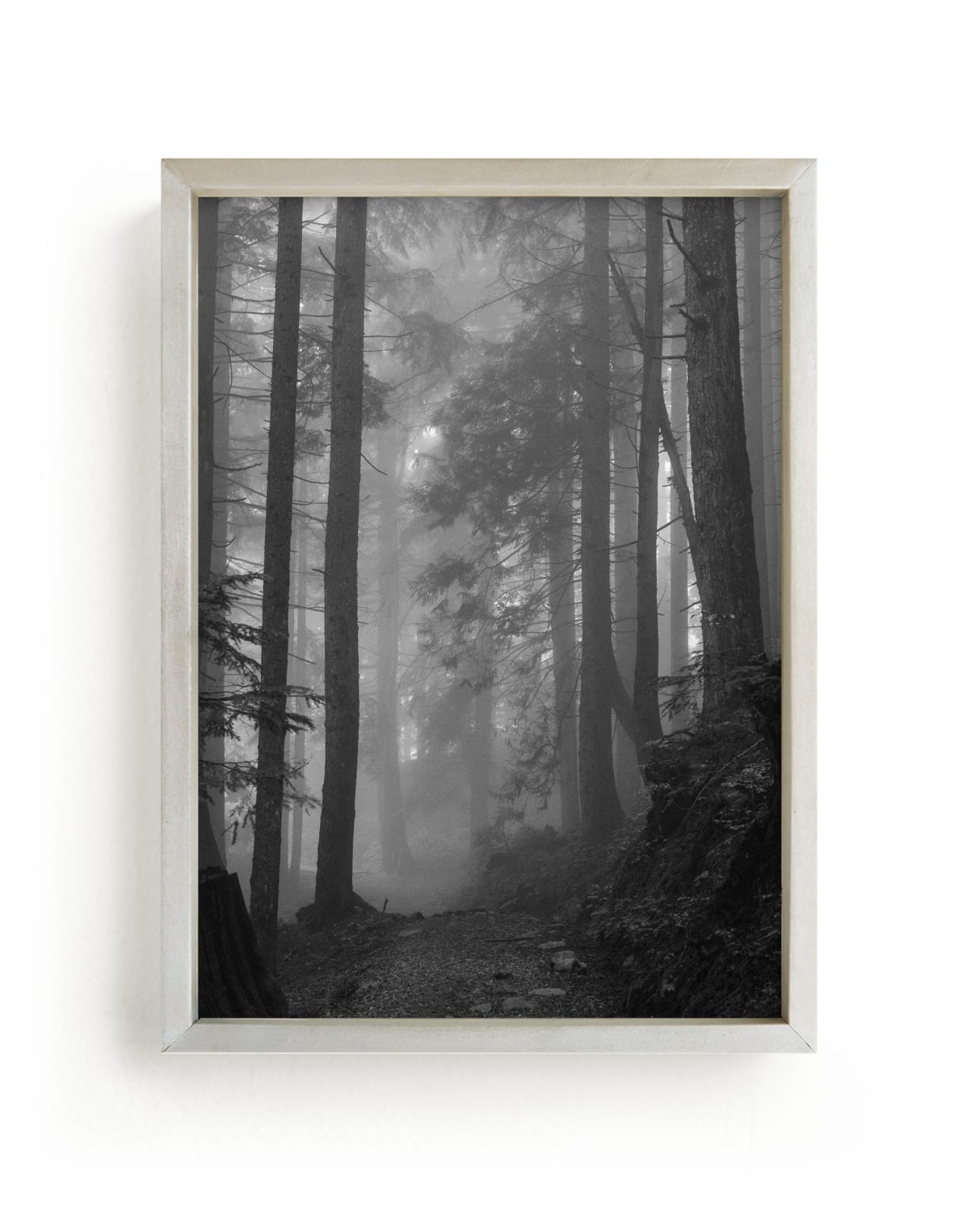 "Secret Forest No. 3" - Art Print in charcoal grey by Lynann Colligan - Framed