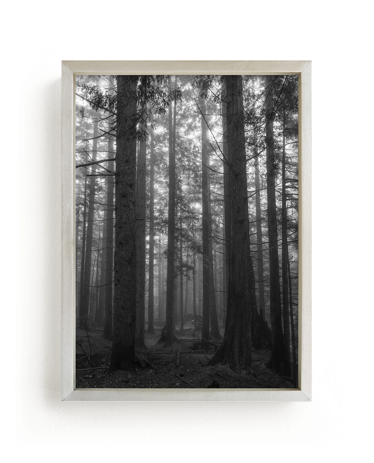 "Secret Forest No. 1" by Lynann Colligan in beautiful frame options and a variety of sizes.