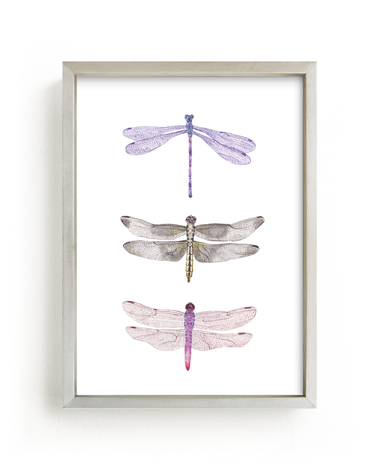 "Watercolor Dragonflies" by Lauren Rogoff in beautiful frame options and a variety of sizes.
