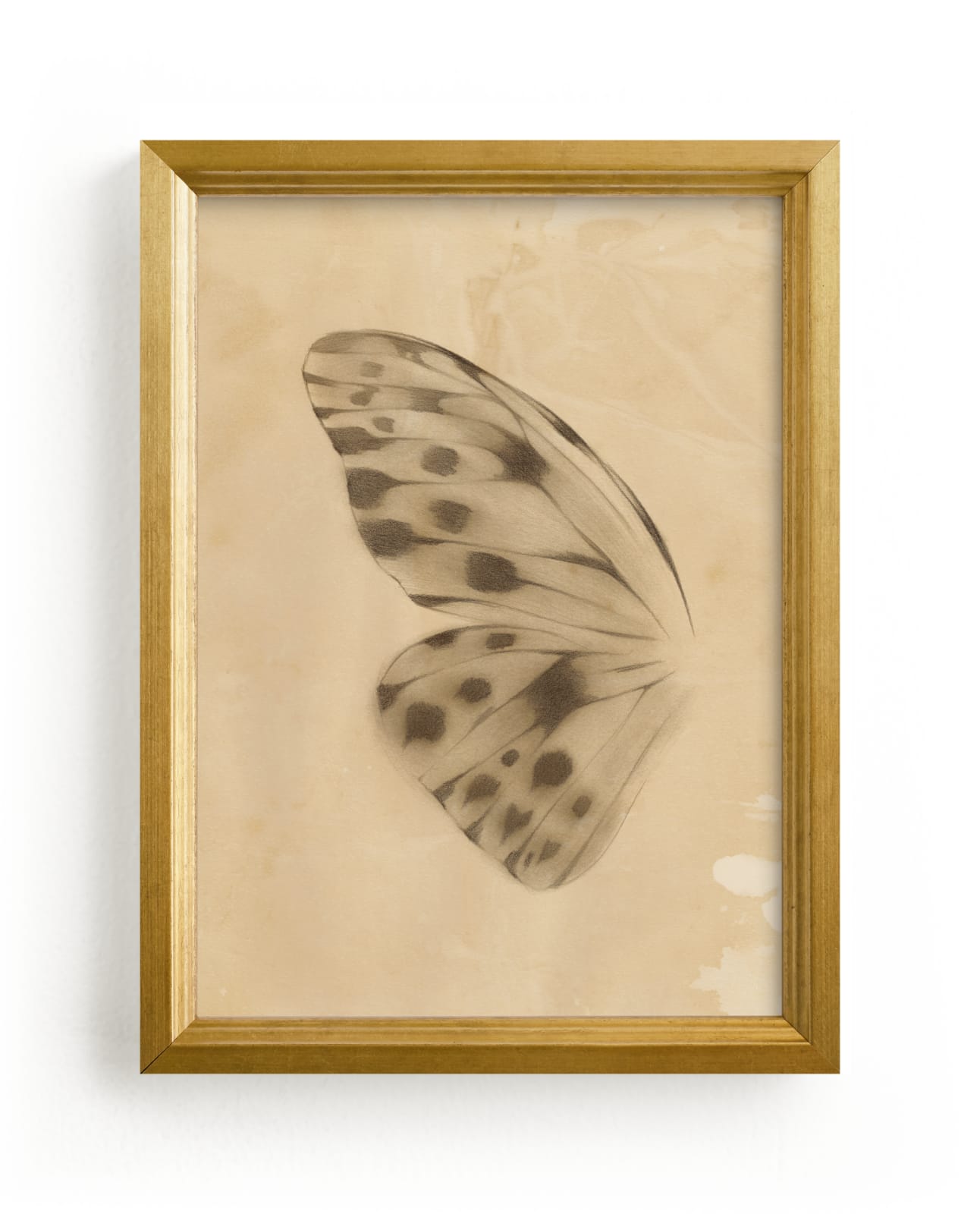 "Vintage Mariposa I" - Limited Edition Art Print by jinseikou in beautiful frame options and a variety of sizes.