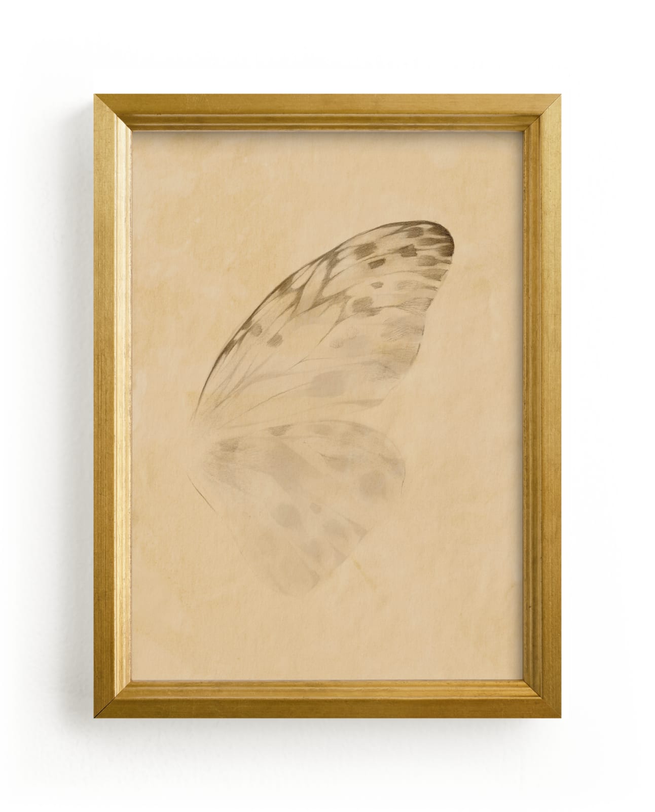 "Vintage Mariposa II" - Limited Edition Art Print by jinseikou in beautiful frame options and a variety of sizes.
