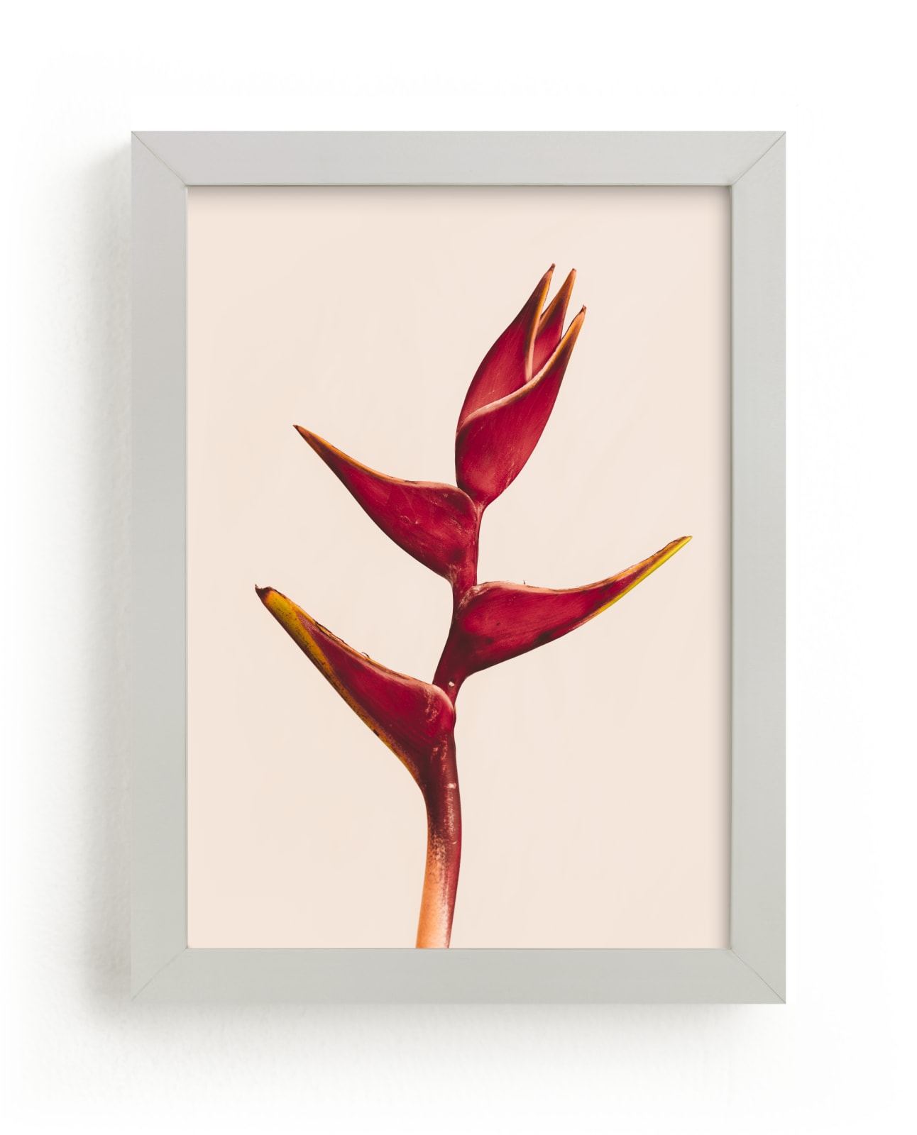 "heliconia 3" - Limited Edition Art Print by Kamala Nahas in beautiful frame options and a variety of sizes.
