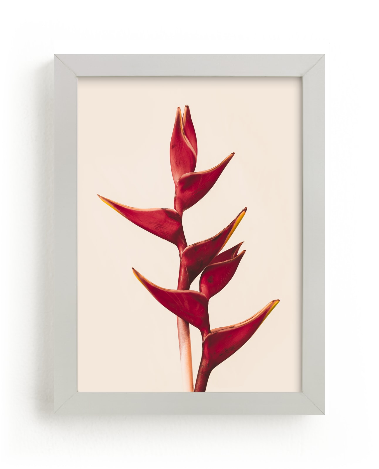 Heliconia 2 Fine Art Prints by Kamala Nahas Minted
